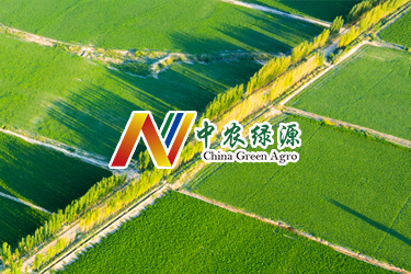 中農(nóng)綠源中文網(wǎng)站建設升級開發(fā)完成