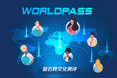 磊石跨文化測(cè)評(píng)系統(tǒng)開發(fā)完成