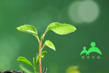 普化公益助學(xué)平臺上線了